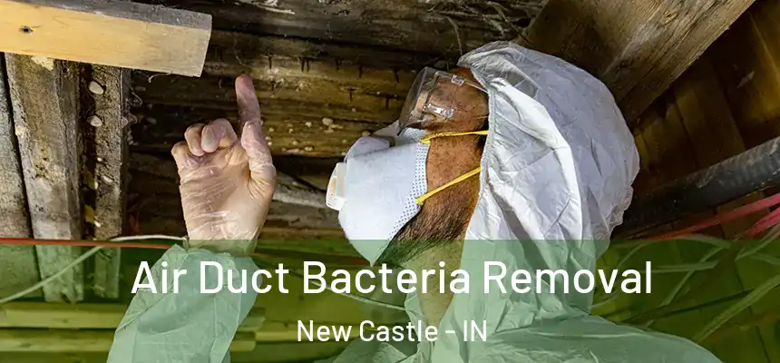  Air Duct Bacteria Removal New Castle - IN