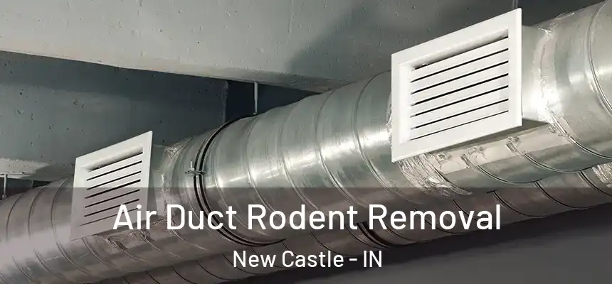  Air Duct Rodent Removal New Castle - IN