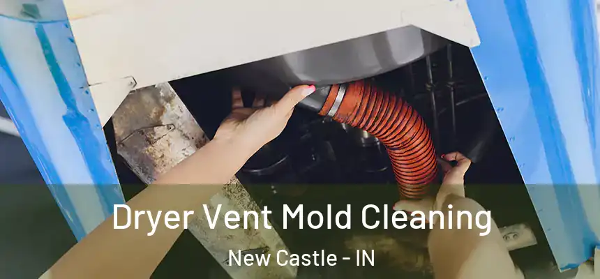 Dryer Vent Mold Cleaning New Castle - IN