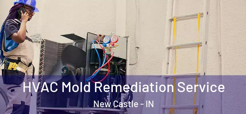  HVAC Mold Remediation Service New Castle - IN