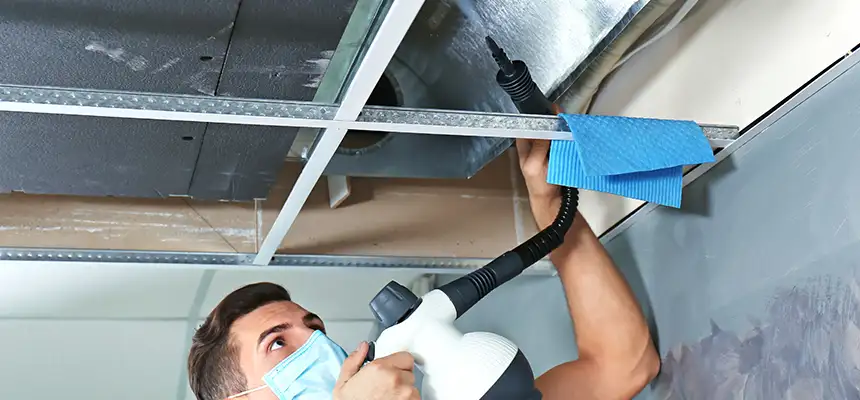 Our Air Duct Rodent Removal Services in New Castle, IN