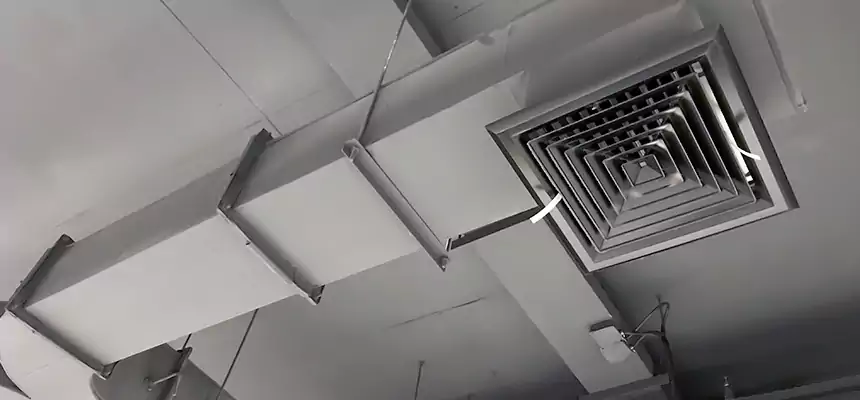 Restorative Allergy Relief Vent Cleaning – Coil, Blower & Housing Detail in New Castle