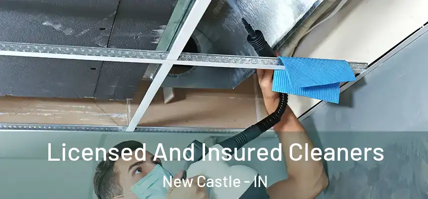  Licensed And Insured Cleaners New Castle - IN