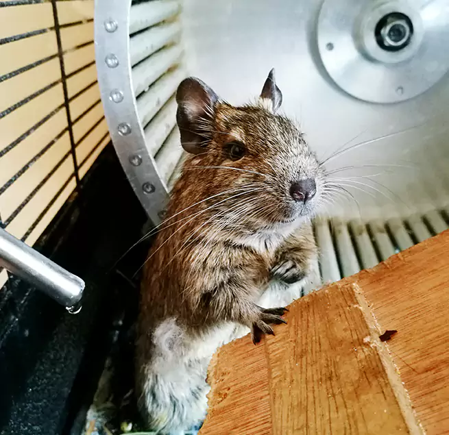 Why Homeowners & Businesses Trust Us New Castle, IN